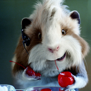 G-Force Picture 55