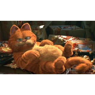 Garfield (2004)