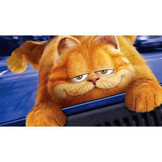 Garfield (2004)