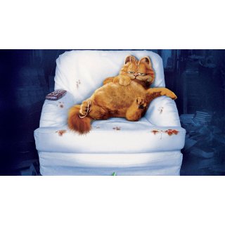 Garfield (2004)