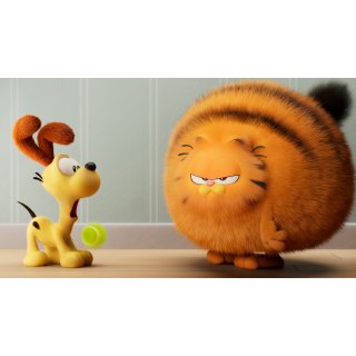 Garfield Movie, The Picture 10