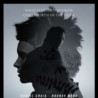 The Girl with the Dragon Tattoo Picture 49