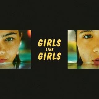 Girls Like Girls Picture 4