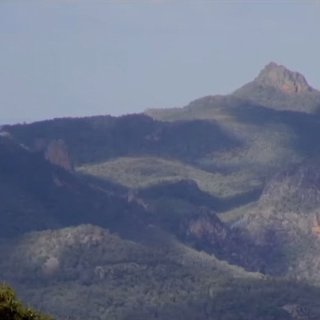 Girraween: The Pilliga (2026)