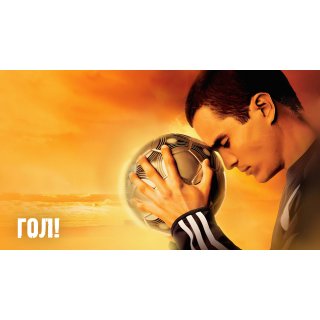 Goal! (2006)