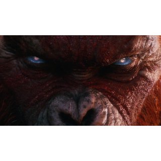 Godzilla x Kong: The New Empire (2024)