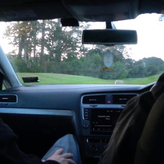 Grey_Pines.Mov (2026)