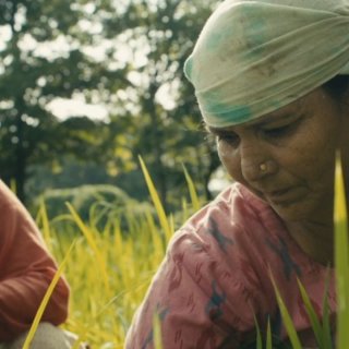 Groundswell (2026)