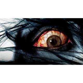 Grudge, The (2004)