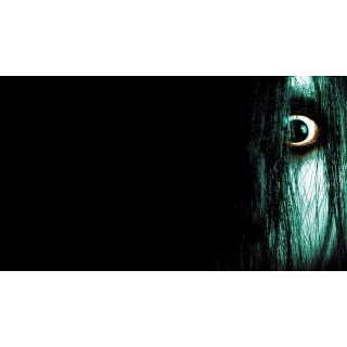 Grudge, The Picture 9