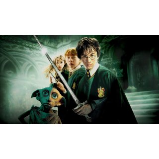 Harry Potter and the Chamber of Secrets (2002)