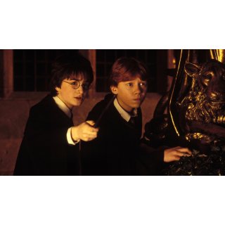 Harry Potter and the Chamber of Secrets (2002)