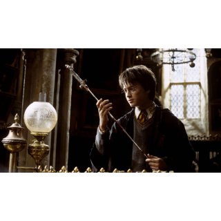 Harry Potter and the Chamber of Secrets (2002)