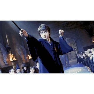 Harry Potter and the Chamber of Secrets (2002)