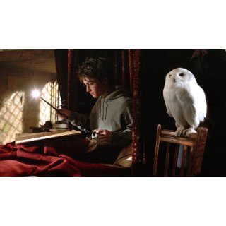 Harry Potter and the Prisoner of Azkaban (2004)