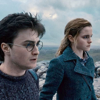 Harry Potter and the Deathly Hallows: Part I Picture 119