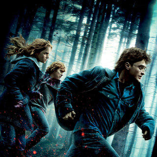 Harry Potter and the Deathly Hallows: Part I Picture 83