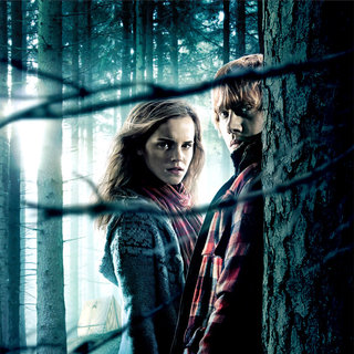 Harry Potter and the Deathly Hallows: Part I Picture 95