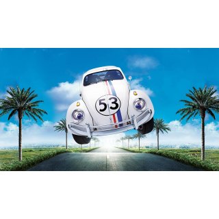 Herbie: Fully Loaded Picture 2