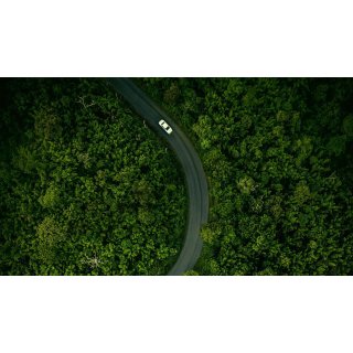 Hillbilly Elegy Picture 8