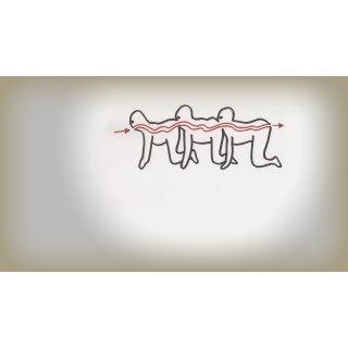 Human Centipede, The Picture 6