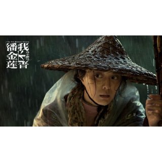 I Am Not Madame Bovary (2016)