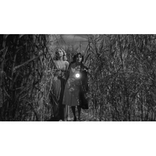 I Walked with a Zombie (1970)