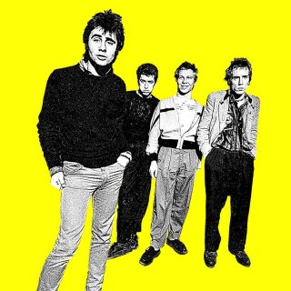 I Was A Teenage Sex Pistol Picture 2