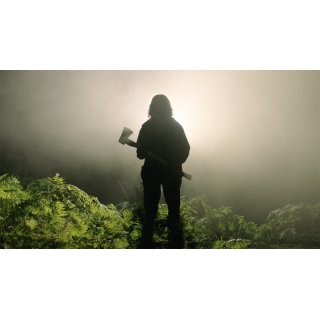 In the Earth (2021)