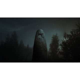 In the Earth (2021)