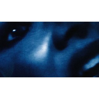 Inland Empire (2006)