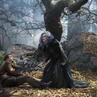 Into the Woods Picture 2