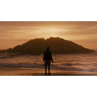 Into the Wild (2007)