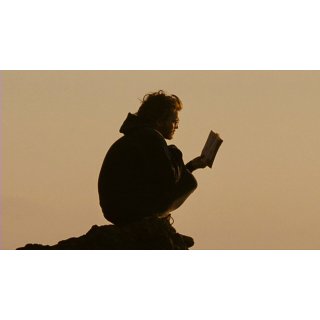 Into the Wild (2007)