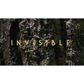 Invisible - Revealing Hidden Disabilities (2026)