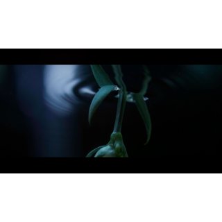 Invisible - Revealing Hidden Disabilities (2026)