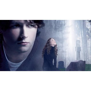 Invisible, The (2007)