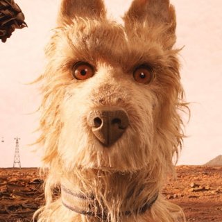 Rex, Duke, Boss, King and Chief from Fox Searchlight Pictures' Isle of Dogs (2018)