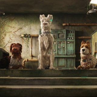 Rex, King, Boss and Duke from Fox Searchlight Pictures' Isle of Dogs (2018)