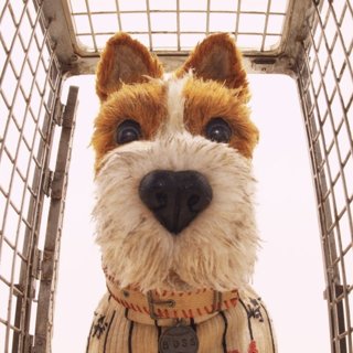 Boss from Fox Searchlight Pictures' Isle of Dogs (2018)