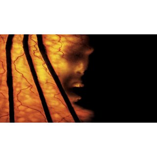 Jeepers Creepers 2 (2003)
