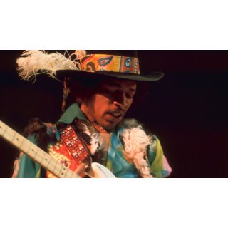 Jimi Hendrix: Hear My Train a Comin' (2013)