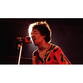 Jimi Hendrix: Hear My Train a Comin' (2013)