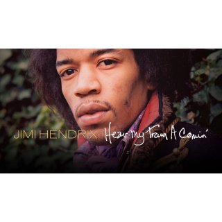 Jimi Hendrix: Hear My Train a Comin' (2013)
