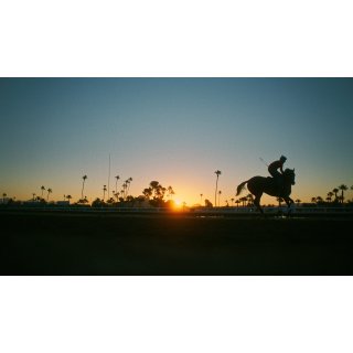 Jockey Picture 2