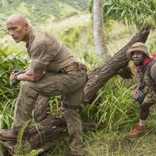 Jumanji: Welcome to the Jungle Picture 32