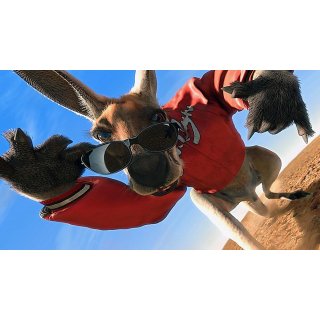 Kangaroo Jack Picture 3