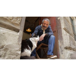 Kedi (2017)