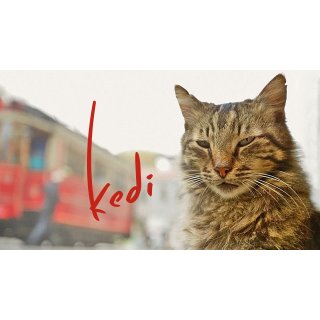 Kedi (2017)