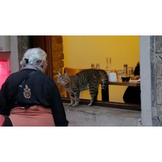 Kedi (2017)